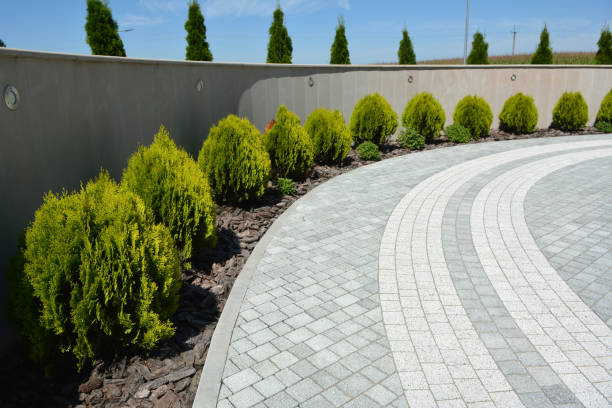 Residential Paver Driveway in Fruita, CO